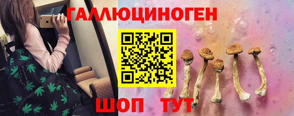 Псилоцибиновые грибы Psilocybe Новоалександровск
