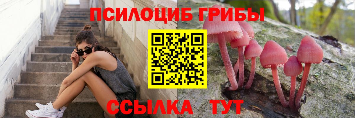 Псилоцибиновые грибы GOLDEN TEACHER  Галлюциногенные грибы мицелий  Новоалександровск  купить наркотики сайты  Вход с VPN 